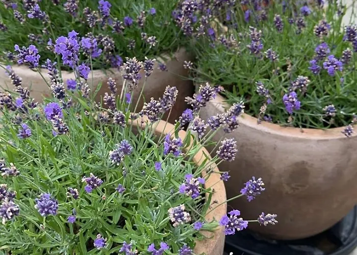 Вилла Beautiful Gem In A Quiet Setting